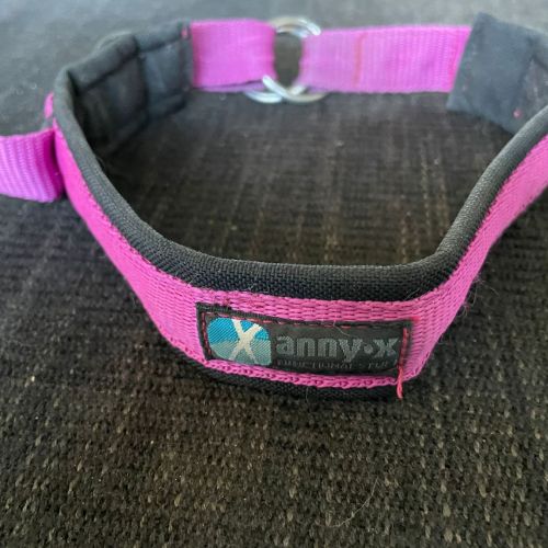 annyx Zug-Stopphalsband schwarz / pink