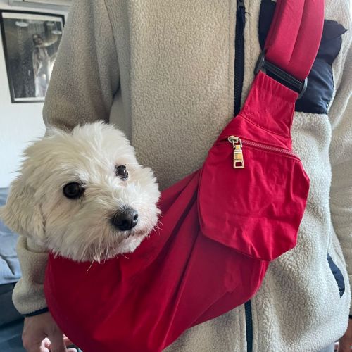 Hundetragetasche / Umhängetasche in rot
